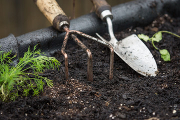 Garden tools in the rain and dirt