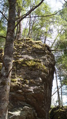 Waterfall in the forest japan
