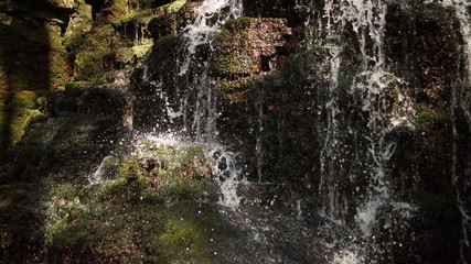 Fototapeta na wymiar Waterfall in the forest japan