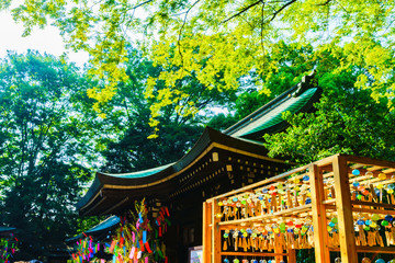 Many japanese wind bells in summer