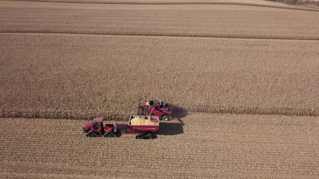 Aerial view over a combine harvester and tractor working in a field to harvest the corn