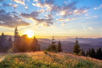 Sunset in the mountains, glade with green grass in the rays of the sun, the landscape in backlight