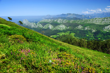 Mountain landscape in the Picos de Europa national park, Spain, Asturias