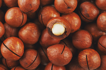 Organic macadamia nut fresh natural fruit shelled one nut in full frame close-up view. Low contrast