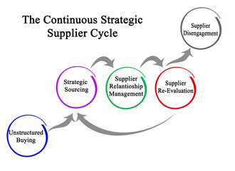 Components of Continuous Strategic Supplier Cycle..