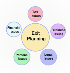 Five Issues in Planning for Exit