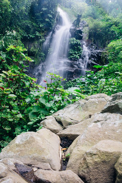 Gitgit waterfall at Bali, Indonesia