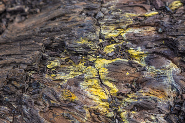 Grey, fresh lava field and glossy rocky land near Volcano Tolbachiskiy, Kamchatka, Russia.