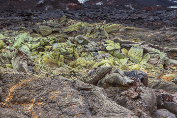 Grey, fresh lava field and glossy rocky land near Volcano Tolbachiskiy, Kamchatka, Russia.