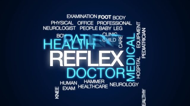 Reflex animated word cloud. Kinetic typography.