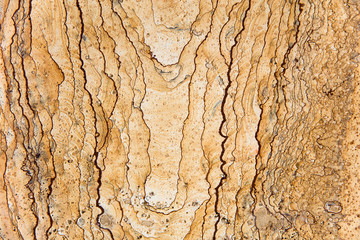Yellow marble texture background backdrop