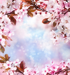 Tree branches with beautiful tiny flowers against blurred background, space for text. Amazing spring blossom