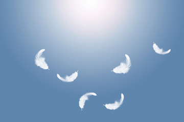 Obraz na płótnie Canvas white feather float in the sky.