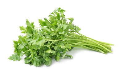 Fresh green organic parsley on white background