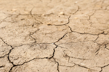 Cracked ground surface as background, closeup. Thirsty soil