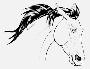 Linear portrait of a wary stallion, laid his ears back. Head of a running steed with fluttering mane. Vector clip art, design element for equestrian goods, racecourses and stud farms.