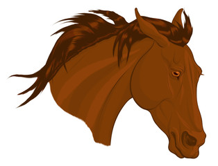 Colored portrait of a wary sorrel stallion, laid his ears back. Head of a running steed with fluttering mane. Vector clip art, design element for equestrian goods, racecourses and stud farms.