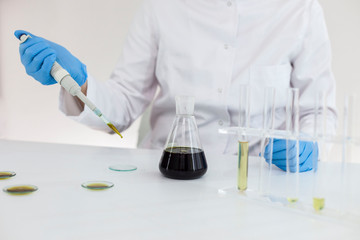 Fototapeta premium Scientist with gloves checking a pharmaceutical cbd oil in a laboratory on watch glass