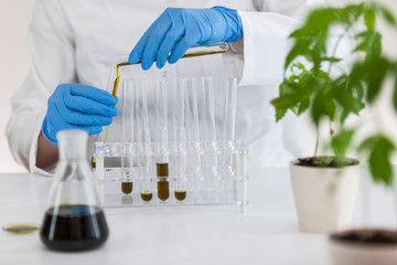 Experimental titration of the CBD oil in a glass tube