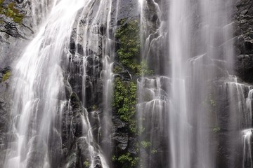 Obraz na płótnie Canvas 千尋の滝