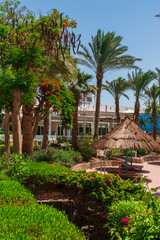 Straw umbrellas, green palm, at the resort.  Holiday concept. Sharm el Sheikh. Egypt.