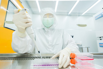 A scientist seeding cells and pipetting growth medium into 96-well plate for molecular assay in...