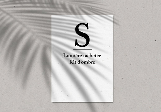 Kit d&rsquo;ombre de lumi&egrave;re tachet&eacute;e