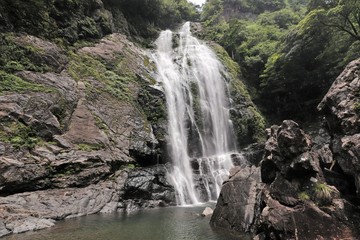 Fototapeta premium 千尋の滝