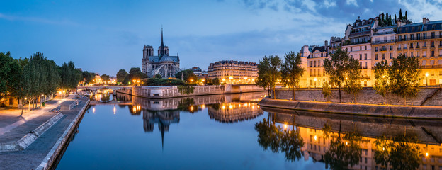 Fototapeta na wymiar Notre Dame and Ile de la Cite in Paris, France