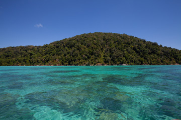 Fototapeta premium The snorkelling famous place of Mu Koh Surin Island National Park where near to Khura Buri district, Phang-nga, Thailand