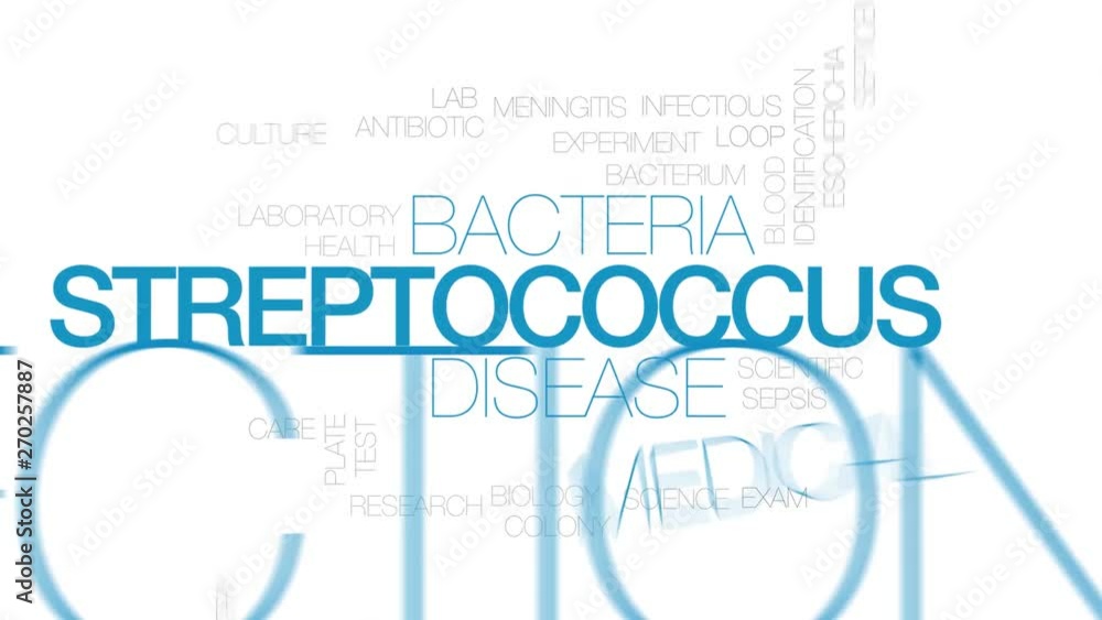 Sticker streptococcus animated word cloud. kinetic typography.