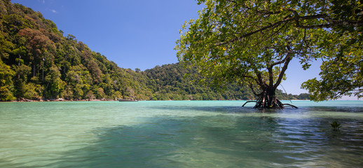 The snorkelling famous place of Mu Koh Surin Island National Park where near to Khura Buri district, Phang-nga, Thailand