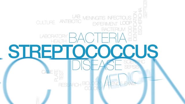 Streptococcus animated word cloud. Kinetic typography.