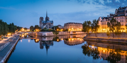 Fototapeta na wymiar Notre Dame and Ile de la Cite in Paris, France