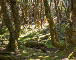 Naklejka premium Szlaki turystyczne Cable Mountain