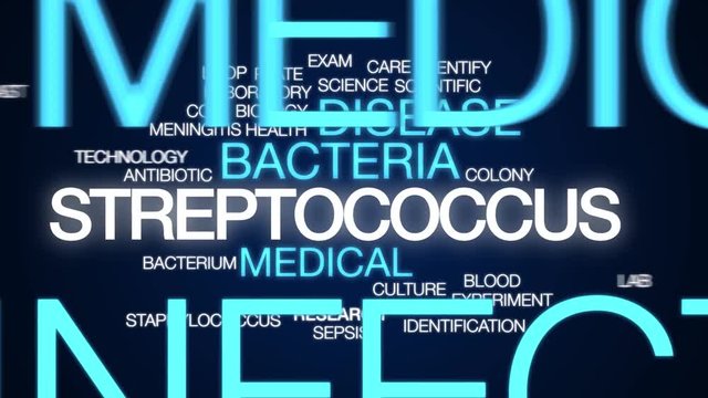 Streptococcus animated word cloud. Kinetic typography.