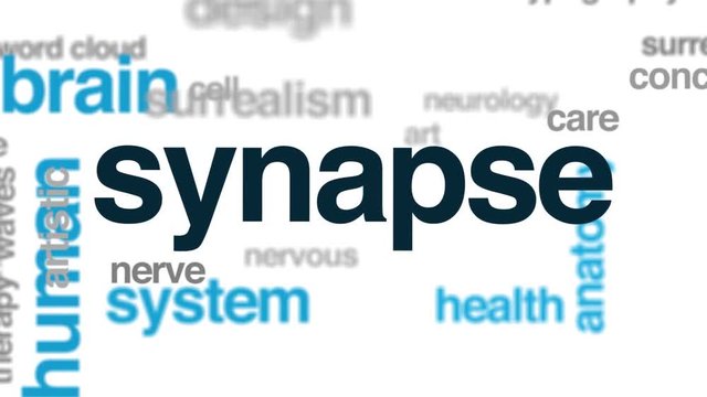 Synapse animated word cloud. Kinetic typography.