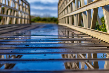 bridge over the river