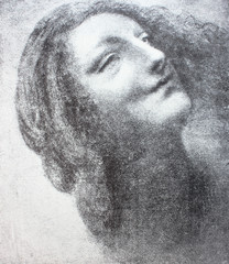 The drawing by Salaì in the vintage book Leonardo da Vinci by A.L. Volynskiy, St. Petersburg, 1899