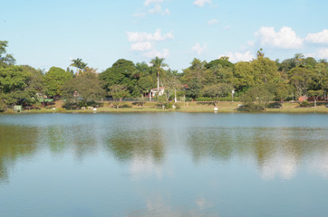 landscape with lake and trees