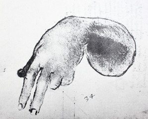 The hand or arm (detail) by Leonardo da Vinci in the vintage book Leonardo da Vinci by A.L....