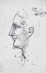 The sketch of the young man by  Leonardo da Vinci in the vintage book Leonardo da Vinci by A.L....