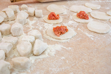 concept of cooking dumplings: dough, minced meat, flour, rolling pin on the kitchen table.