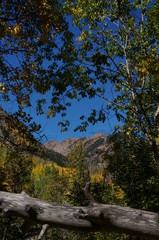 Autumn in the Mountains