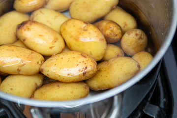jersey royal potatoes in a saucepan full of water