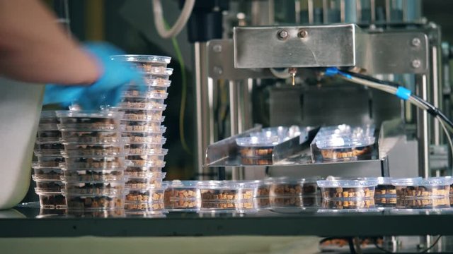 Plant worker collects containers with breads from a working conveyor.