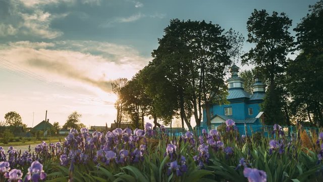 Staraya Belitsa, (Uritskiy Sel'sovet), Gomel Region, Belarus. Old Wooden Orthodox Church Of St Nicholas The Wonderworker During Summer Sunset. Orthodox Church Of St. Nikolaya Chudotvortsa