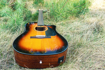 Acoustic guitar is on the ground. Musical instrument in the grass
