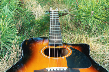 Stringed musical instrument. Acoustic guitar is located near the green fir