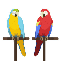 Ara parrot. Macaw. Vector cartoon illustration of red macaw and blue and yellow macaw sitting on a perch. Isolated on white background.